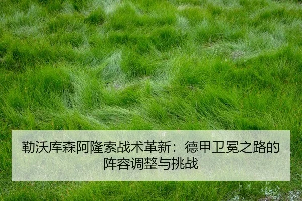 lei-wo-ku-sen-a-long-suo-zhan-shu-ge-xin-de-jia-wei-mian-zhi-lu-de-zhen-rong-tiao-zheng-yu-tiao-zhan-3-293.jpg