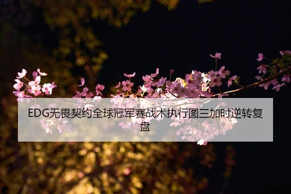 wu-wei-qi-yue-quan-qiu-guan-jun-sai-zhan-shu-zhi-xing-tu-san-jia-shi-ni-zhuan-fu-pan-2-965.jpg