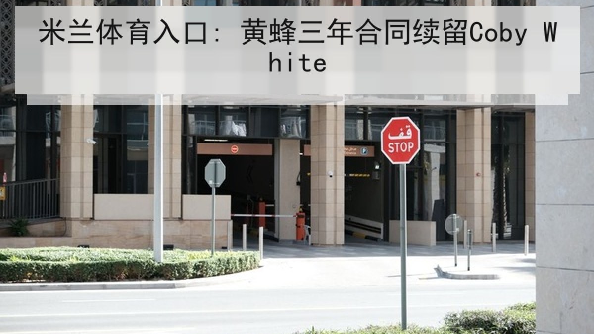 米兰体育入口: 黄蜂三年合同续留Coby White