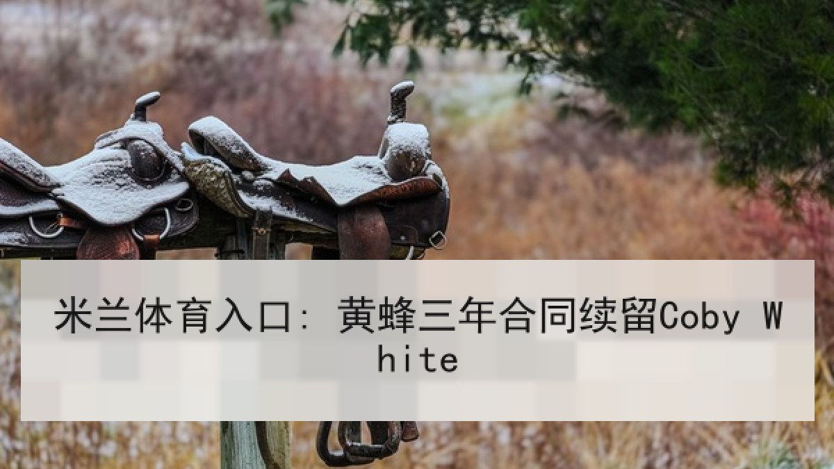 米兰体育入口: 黄蜂三年合同续留Coby White