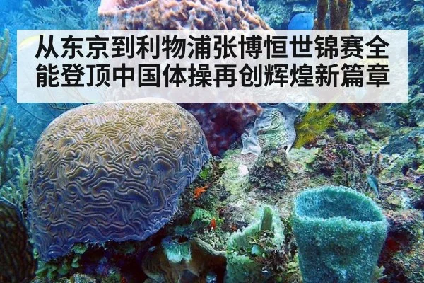 从东京到利物浦张博恒世锦赛全能登顶中国体操再创辉煌新篇章